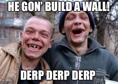 Ugly Twins | HE GON’ BUILD A WALL! DERP DERP DERP | image tagged in memes,ugly twins | made w/ Imgflip meme maker