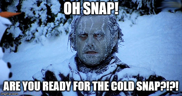 Freezing cold | OH SNAP! ARE YOU READY FOR THE COLD SNAP?!?! | image tagged in freezing cold | made w/ Imgflip meme maker