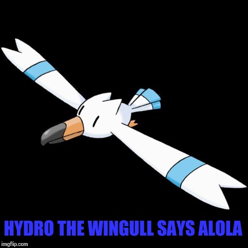 HYDRO THE WINGULL SAYS ALOLA | image tagged in hydro the wingull | made w/ Imgflip meme maker