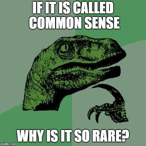 Philosoraptor Meme | IF IT IS CALLED COMMON SENSE; WHY IS IT SO RARE? | image tagged in memes,philosoraptor | made w/ Imgflip meme maker