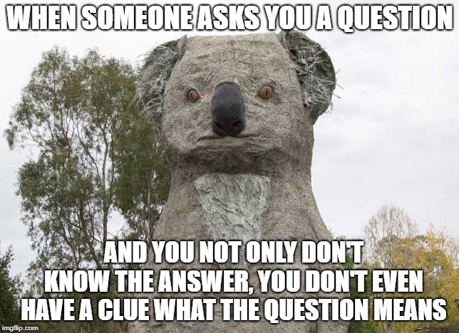 Question Koala | WHEN SOMEONE ASKS YOU A QUESTION; AND YOU NOT ONLY DON'T KNOW THE ANSWER, YOU DON'T EVEN HAVE A CLUE WHAT THE QUESTION MEANS | image tagged in confused | made w/ Imgflip meme maker