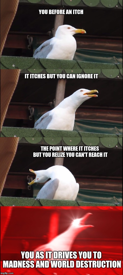 Inhaling Seagull Meme | YOU BEFORE AN ITCH; IT ITCHES BUT YOU CAN IGNORE IT; THE POINT WHERE IT ITCHES BUT YOU RELIZE YOU CAN'T REACH IT; YOU AS IT DRIVES YOU TO MADNESS AND WORLD DESTRUCTION | image tagged in memes,inhaling seagull | made w/ Imgflip meme maker