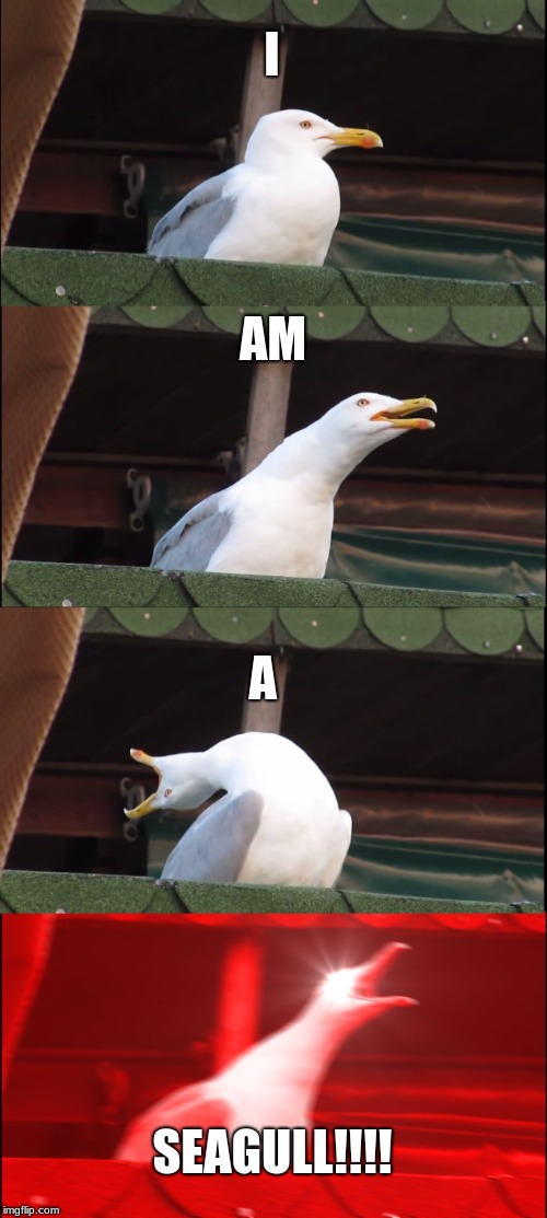Inhaling Seagull Meme | I; AM; A; SEAGULL!!!! | image tagged in memes,inhaling seagull | made w/ Imgflip meme maker