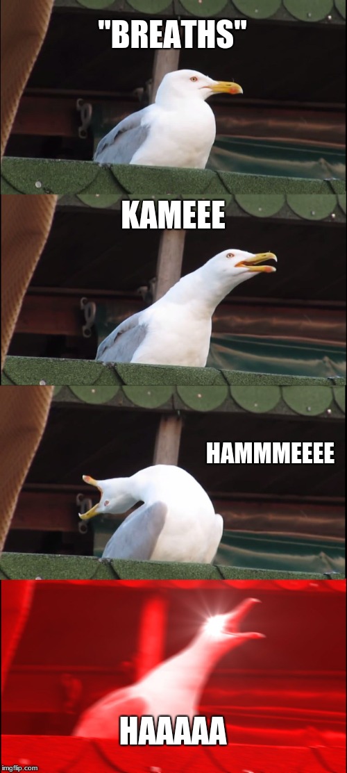 Inhaling Seagull Meme | "BREATHS"; KAMEEE; HAMMMEEEE; HAAAAA | image tagged in memes,inhaling seagull | made w/ Imgflip meme maker
