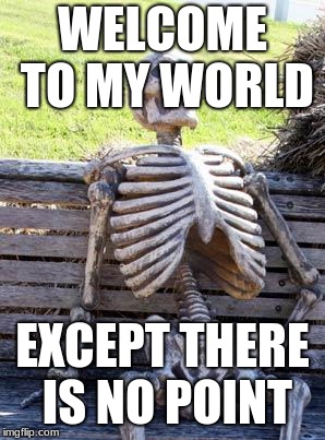 Waiting Skeleton | WELCOME TO MY WORLD; EXCEPT THERE IS NO POINT | image tagged in memes,waiting skeleton | made w/ Imgflip meme maker