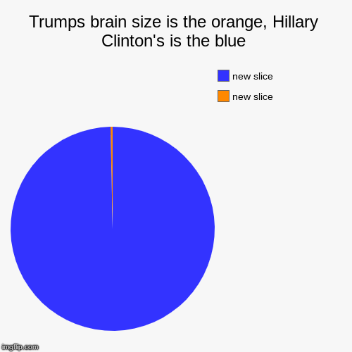 Trumps brain size is the orange, Hillary Clinton's is the blue | | image tagged in funny,pie charts | made w/ Imgflip chart maker