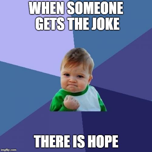 Success Kid Meme | WHEN SOMEONE GETS THE JOKE; THERE IS HOPE | image tagged in memes,success kid | made w/ Imgflip meme maker