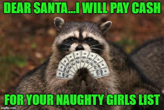 All I want for Christmas!!! | DEAR SANTA...I WILL PAY CASH; FOR YOUR NAUGHTY GIRLS LIST | image tagged in evil raccoon,memes,santa,funny,naughty girls list,coon with cash | made w/ Imgflip meme maker