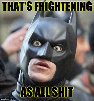 Shocked Batman | THAT'S FRIGHTENING AS ALL SHIT | image tagged in shocked batman | made w/ Imgflip meme maker