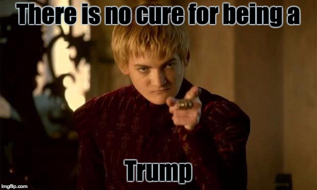 No Cure for Trump | There is no cure for being a; Trump | image tagged in joffrey,memes,trump | made w/ Imgflip meme maker