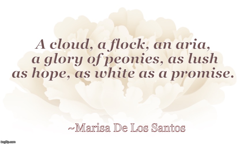 Boom quotes  | A cloud, a flock, an aria, a glory of peonies, as lush as hope, as white as a promise. ~Marisa De Los Santos | image tagged in books | made w/ Imgflip meme maker