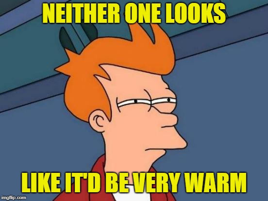 Futurama Fry Meme | NEITHER ONE LOOKS LIKE IT'D BE VERY WARM | image tagged in memes,futurama fry | made w/ Imgflip meme maker