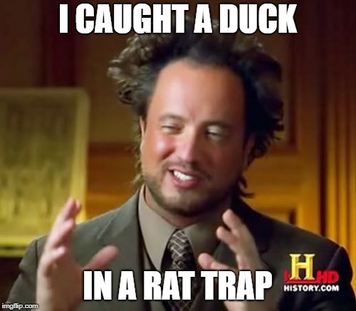 Ancient Aliens Meme | I CAUGHT A DUCK IN A RAT TRAP | image tagged in memes,ancient aliens | made w/ Imgflip meme maker