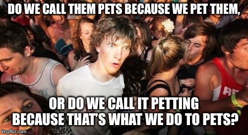 Sudden Clarity Clarence Meme | DO WE CALL THEM PETS BECAUSE WE PET THEM, OR DO WE CALL IT PETTING BECAUSE THAT’S WHAT WE DO TO PETS? | image tagged in memes,sudden clarity clarence,AdviceAnimals | made w/ Imgflip meme maker