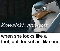 Kawalski Analysis | when she looks like a thot, but doesnt act like one | image tagged in kawalski analysis | made w/ Imgflip meme maker