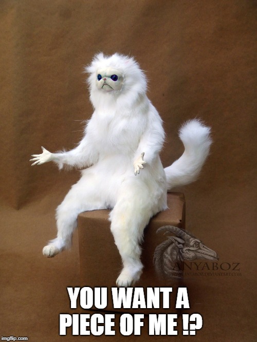 Persian Cat Room Guardian Single | YOU WANT A PIECE OF ME !? | image tagged in memes,persian cat room guardian single | made w/ Imgflip meme maker