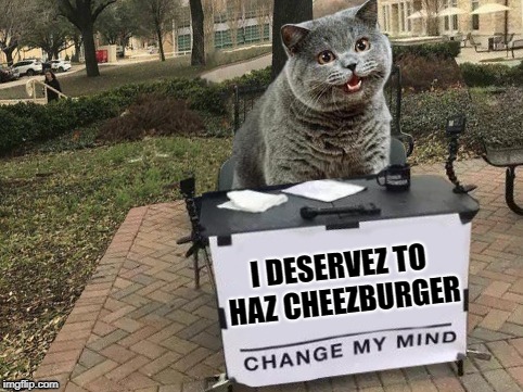Desperate Measures | I DESERVEZ TO HAZ CHEEZBURGER | image tagged in funny memes,i can has cheezburger cat,cat,cat memes,hungry | made w/ Imgflip meme maker