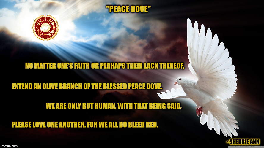 Peace Dove | "PEACE DOVE"; NO MATTER ONE'S FAITH OR PERHAPS THEIR LACK THEREOF, EXTEND AN OLIVE BRANCH OF THE BLESSED PEACE DOVE. WE ARE ONLY BUT HUMAN, WITH THAT BEING SAID, PLEASE LOVE ONE ANOTHER, FOR WE ALL DO BLEED RED. ~SHERRIE ANN | image tagged in peace,peace on earth,poetry,poem,unity | made w/ Imgflip meme maker