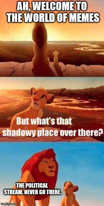 Simba Shadowy Place | AH, WELCOME TO THE WORLD OF MEMES; THE POLITICAL STREAM. NEVER GO THERE. | image tagged in memes,simba shadowy place | made w/ Imgflip meme maker