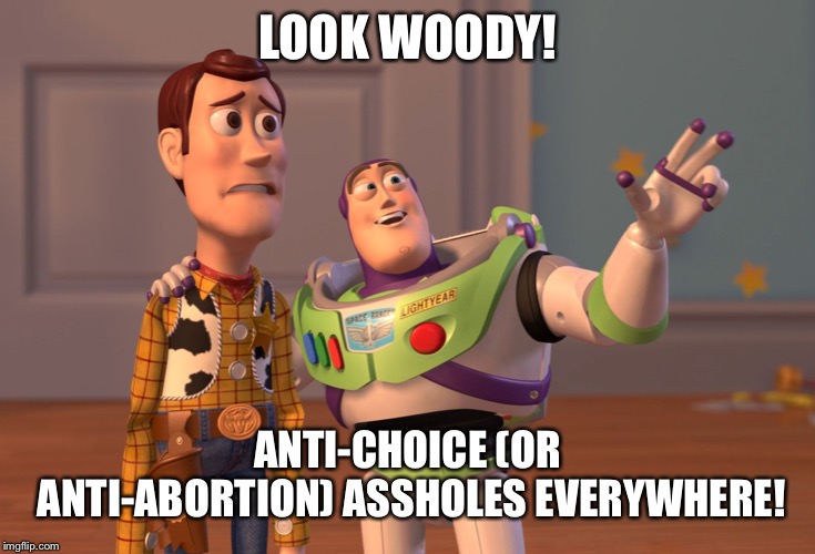 we seriously do NOT need any more shitty humans on this poor planet!! | LOOK WOODY! ANTI-CHOICE (OR ANTI-ABORTION) ASSHOLES EVERYWHERE! | image tagged in memes,x x everywhere | made w/ Imgflip meme maker