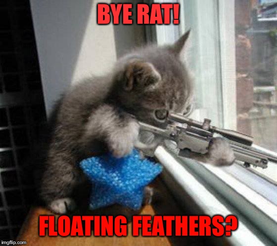 BYE RAT! FLOATING FEATHERS? | made w/ Imgflip meme maker
