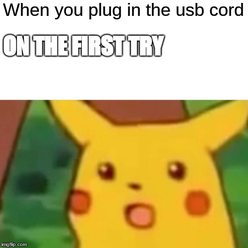 The USB cord topic is popular so, why not? | When you plug in the usb cord; ON THE FIRST TRY | image tagged in memes,surprised pikachu | made w/ Imgflip meme maker