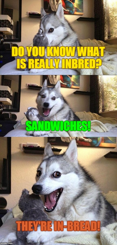 I know someone who calls people inbred, so I made this. | DO YOU KNOW WHAT IS REALLY INBRED? SANDWICHES! THEY'RE IN-BREAD! | image tagged in memes,bad pun dog,inbred,joke | made w/ Imgflip meme maker