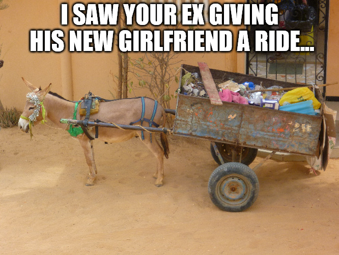 Your ex's idea of a "better woman than you" |  I SAW YOUR EX GIVING HIS NEW GIRLFRIEND A RIDE... | image tagged in ass,donkey,ride,garbage dump,garbage,trash | made w/ Imgflip meme maker