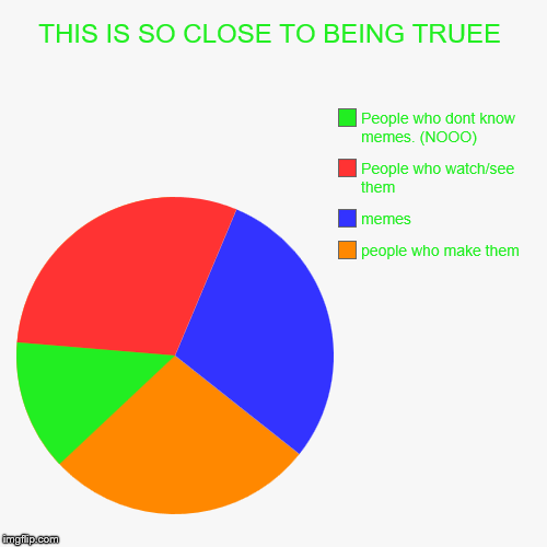 THIS IS SO CLOSE TO BEING TRUEE | people who make them, memes, People who watch/see them, People who dont know memes. (NOOO) | image tagged in funny,pie charts | made w/ Imgflip chart maker