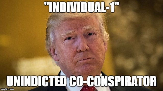 Individual 1 | "INDIVIDUAL-1"; UNINDICTED CO-CONSPIRATOR | image tagged in individual 1 | made w/ Imgflip meme maker