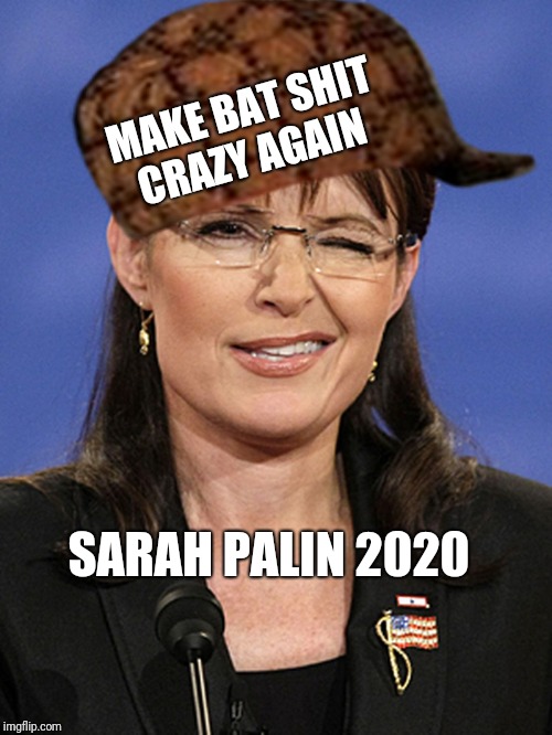 MAKE BAT SHIT CRAZY AGAIN; SARAH PALIN 2020 | image tagged in scumbag | made w/ Imgflip meme maker