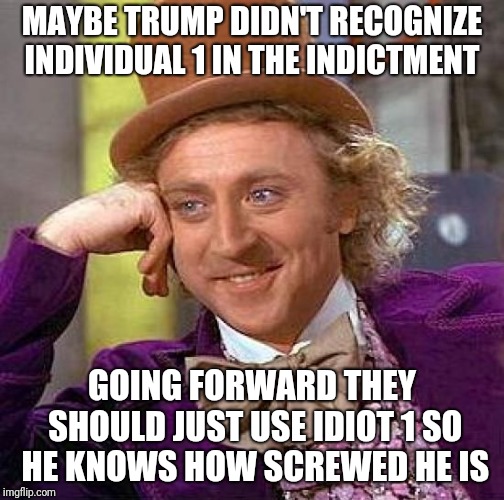 Creepy Condescending Wonka Meme | MAYBE TRUMP DIDN'T RECOGNIZE INDIVIDUAL 1 IN THE INDICTMENT; GOING FORWARD THEY SHOULD JUST USE IDIOT 1 SO HE KNOWS HOW SCREWED HE IS | image tagged in memes,creepy condescending wonka | made w/ Imgflip meme maker