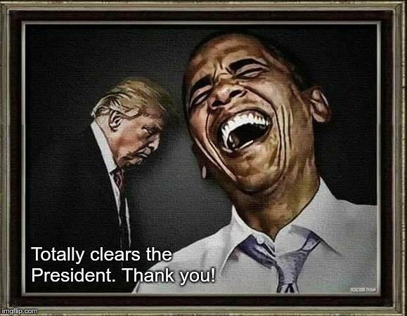 Individual - 1 | Totally clears the President. Thank you! | image tagged in trump,prison,felony | made w/ Imgflip meme maker