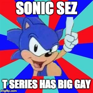 Sonic sez | SONIC SEZ; T SERIES HAS BIG GAY | image tagged in sonic sez | made w/ Imgflip meme maker