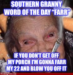 SOUTHERN GRANNY WORD OF THE DAY “FARR”; IF YOU DON’T GET OFF MY PORCH I’M GONNA FARR MY 22 AND BLOW YOU OFF IT | image tagged in southern granny meme | made w/ Imgflip meme maker