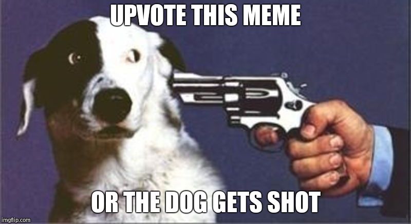 I'm not fooling. | UPVOTE THIS MEME; OR THE DOG GETS SHOT | image tagged in dog gun | made w/ Imgflip meme maker