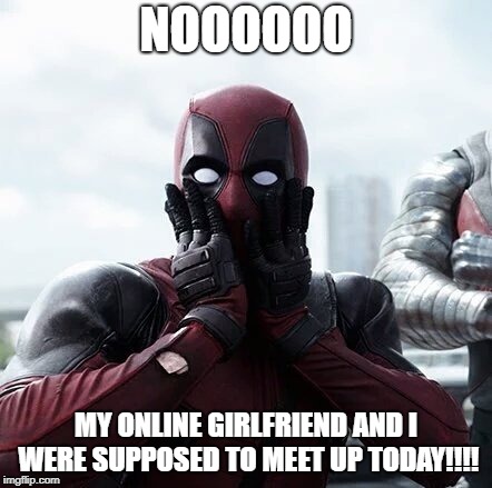 Said no one ever | NOOOOOO; MY ONLINE GIRLFRIEND AND I WERE SUPPOSED TO MEET UP TODAY!!!! | image tagged in online dating | made w/ Imgflip meme maker