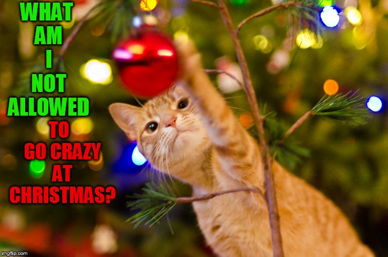 WHAT AM I NOT ALLOWED TO  GO CRAZY AT CHRISTMAS? | made w/ Imgflip meme maker