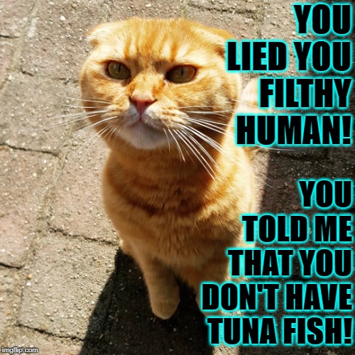 YOU LIED | YOU LIED YOU FILTHY HUMAN! YOU TOLD ME THAT YOU DON'T HAVE TUNA FISH! | image tagged in you lied | made w/ Imgflip meme maker