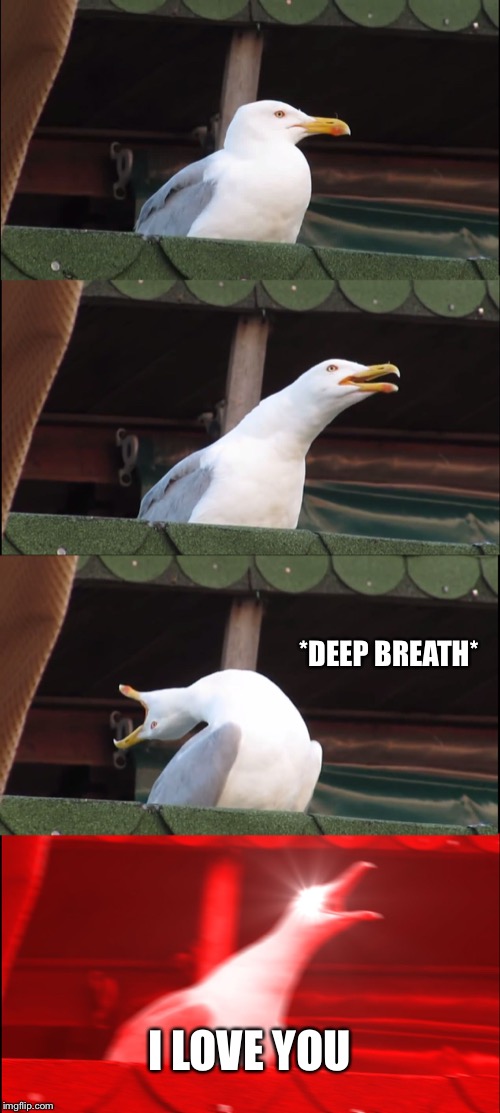 Inhaling Seagull Meme | *DEEP BREATH*; I LOVE YOU | image tagged in memes,inhaling seagull | made w/ Imgflip meme maker