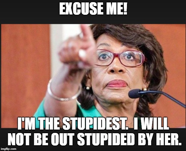 maxine waters  | EXCUSE ME! I'M THE STUPIDEST.  I WILL NOT BE OUT STUPIDED BY HER. | image tagged in maxine waters | made w/ Imgflip meme maker