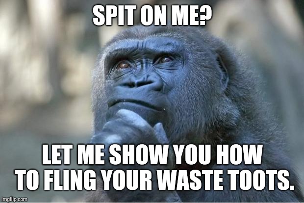 The thinking gorilla | SPIT ON ME? LET ME SHOW YOU HOW TO FLING YOUR WASTE TOOTS. | image tagged in the thinking gorilla | made w/ Imgflip meme maker