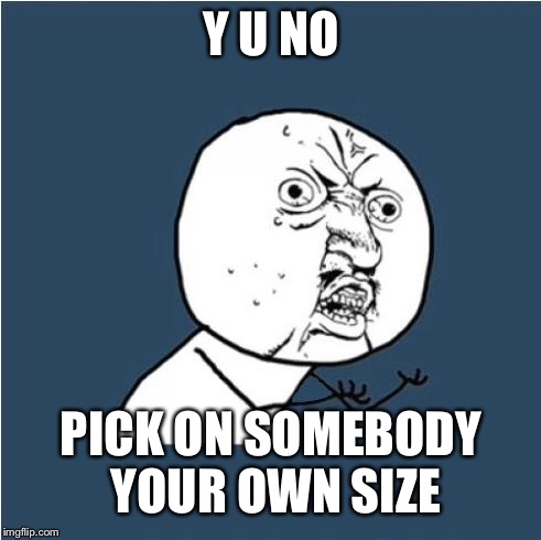 Y U No | Y U NO PICK ON SOMEBODY YOUR OWN SIZE | image tagged in y u no | made w/ Imgflip meme maker