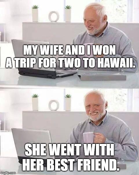 Hide the Pain Harold Meme | MY WIFE AND I WON A TRIP FOR TWO TO HAWAII. SHE WENT WITH HER BEST FRIEND. | image tagged in memes,hide the pain harold | made w/ Imgflip meme maker