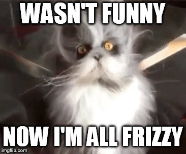 WASN'T FUNNY NOW I'M ALL FRIZZY | made w/ Imgflip meme maker