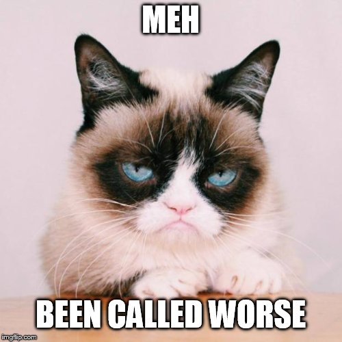 grumpy cat again | MEH BEEN CALLED WORSE | image tagged in grumpy cat again | made w/ Imgflip meme maker