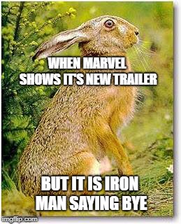 Dramatic Rabbit | WHEN MARVEL SHOWS IT'S NEW TRAILER; BUT IT IS IRON MAN SAYING BYE | image tagged in dramatic jackrabbit,rabbit | made w/ Imgflip meme maker