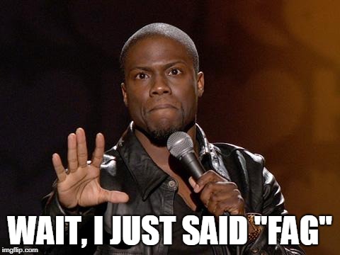 kevin hart | WAIT, I JUST SAID "F*G" | image tagged in kevin hart | made w/ Imgflip meme maker