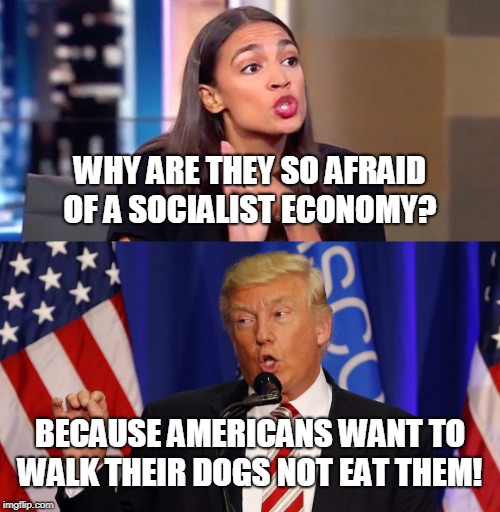 Well, it's true... | WHY ARE THEY SO AFRAID OF A SOCIALIST ECONOMY? BECAUSE AMERICANS WANT TO WALK THEIR DOGS NOT EAT THEM! | image tagged in alexandria ocasio-cortez,democratic socialism,socialism,president trump,venezuela,memes | made w/ Imgflip meme maker