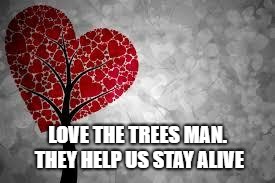 Tree heart | LOVE THE TREES MAN. THEY HELP US STAY ALIVE | image tagged in tree heart | made w/ Imgflip meme maker